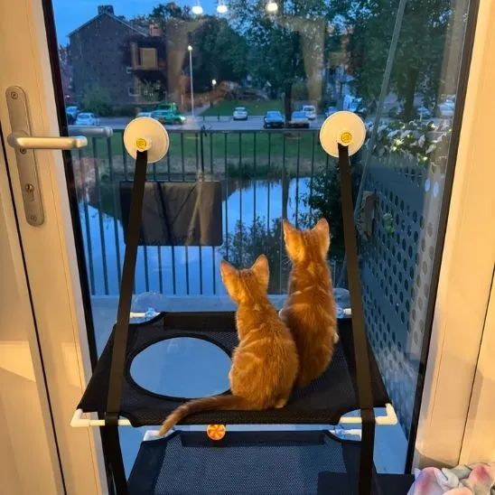 Tapis rafraîchissant pour chat | Double Lit d’Été