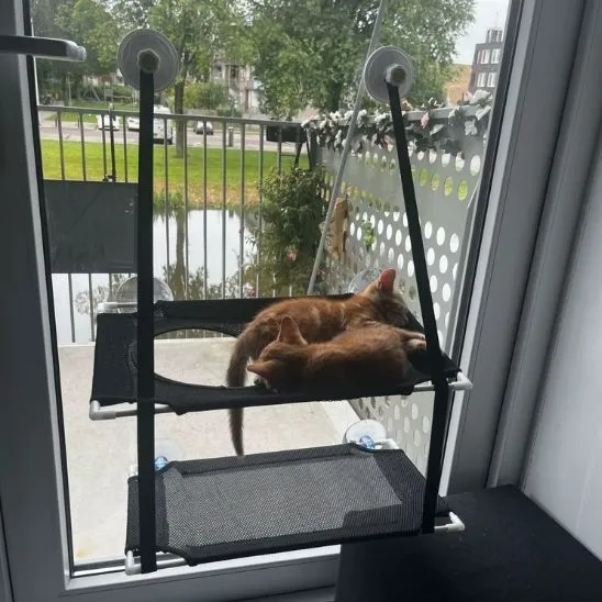 Tapis rafraîchissant pour chat | Double Lit d’Été