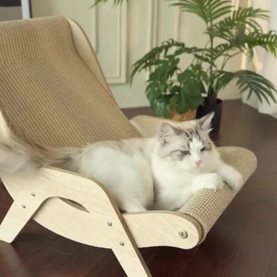 Griffoir Chat fauteuil