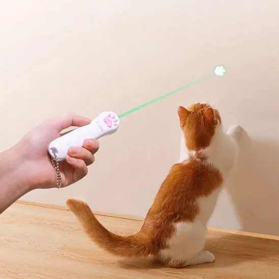 Laser pour chat | Poursuite Lumineuse