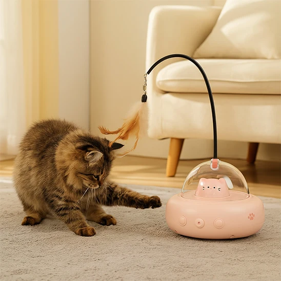 LASER A CHAT | Soucoupe Lumineuse