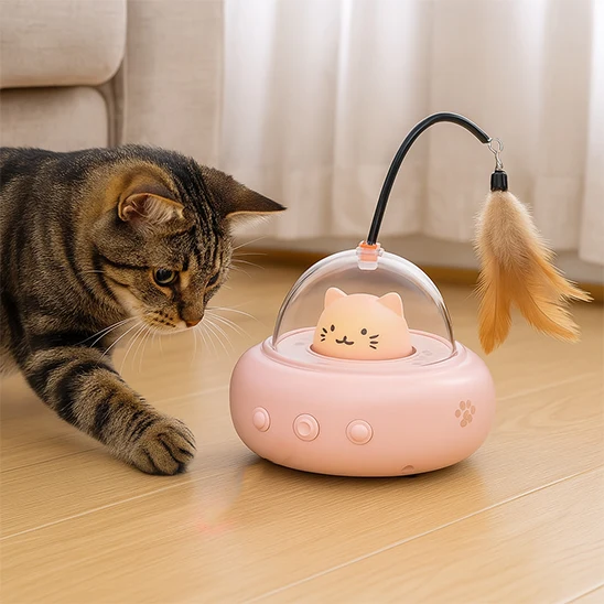 LASER A CHAT | Soucoupe Lumineuse