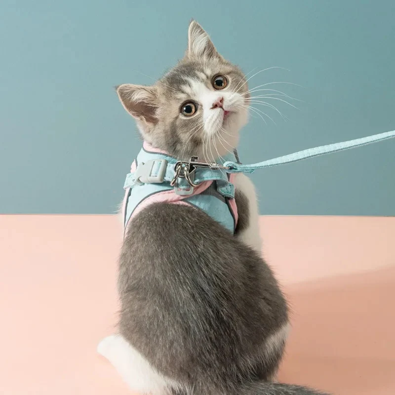 harnais chat | Comfort Harness