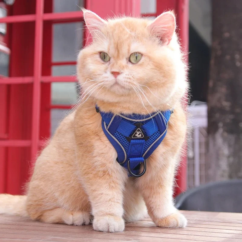 harnais chat anti-fugue | CATWALKS