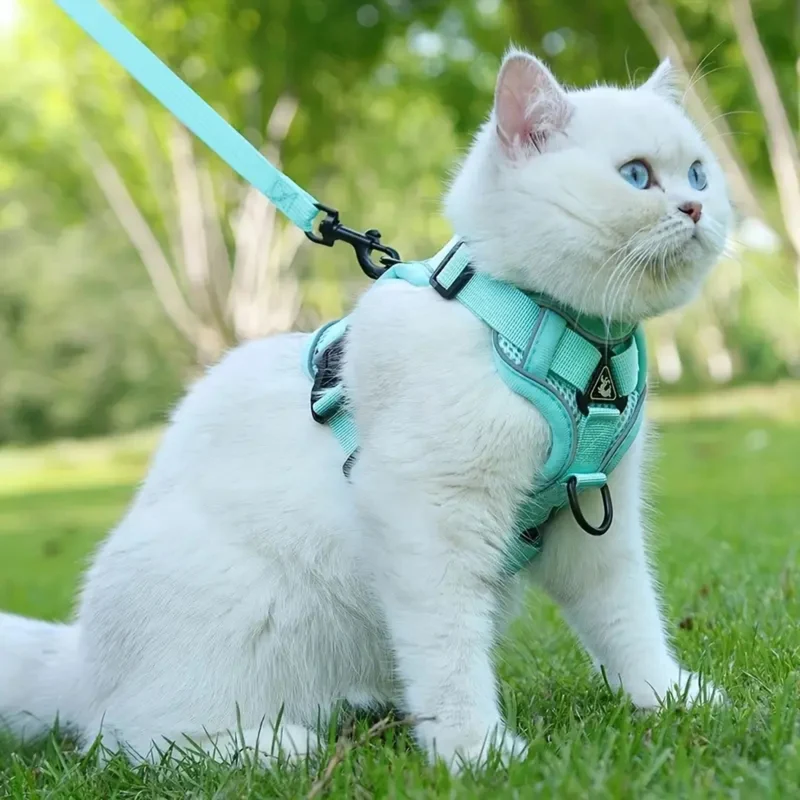 harnais chat anti-fugue | CATWALKS