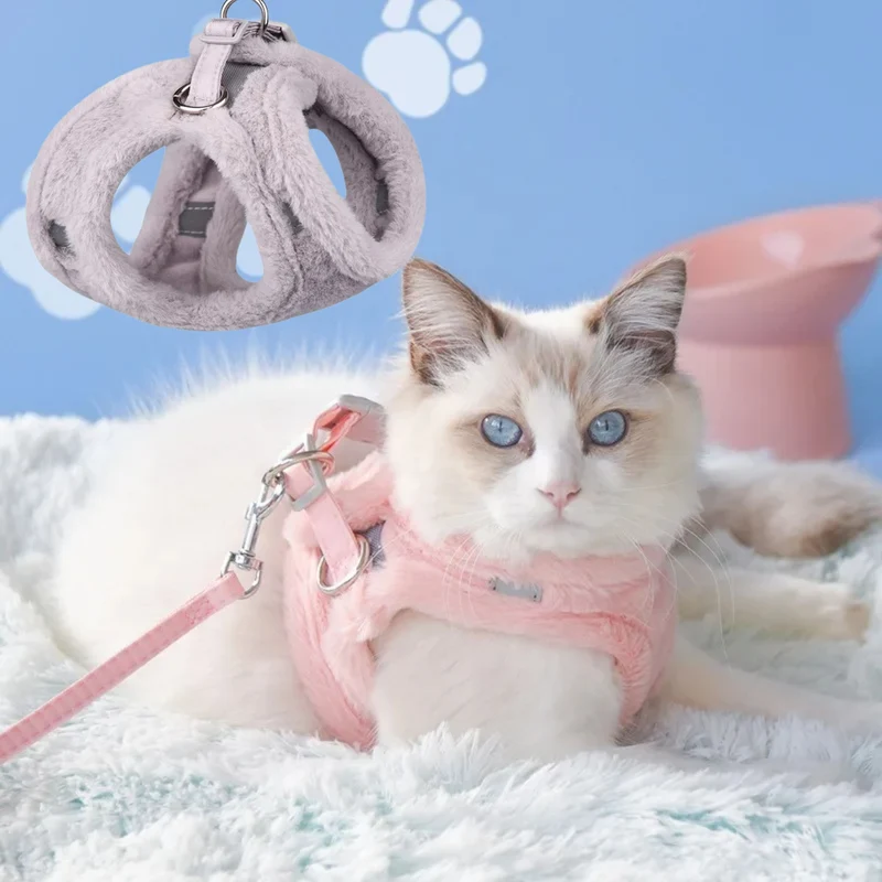 harnais chat | WINTERHARNESS