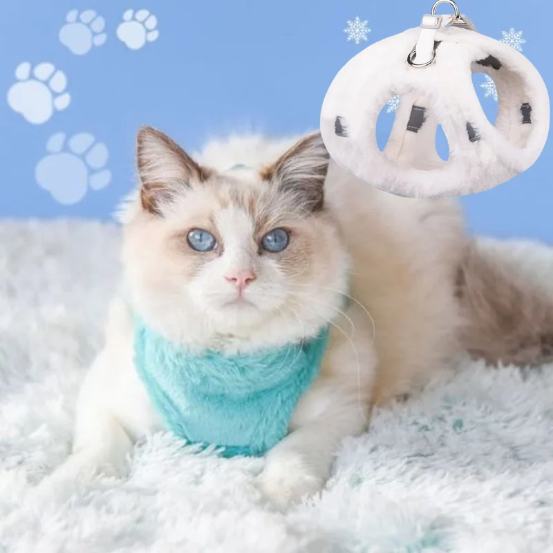 harnais chat | WINTERHARNESS