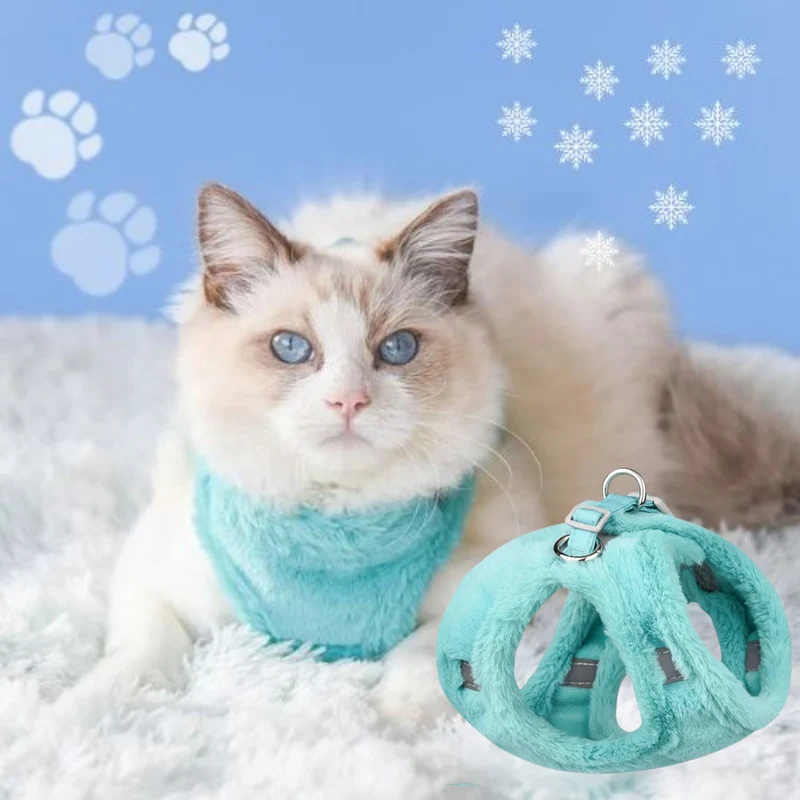harnais chat | WINTERHARNESS