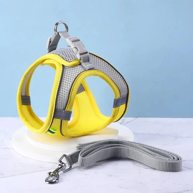 harnais chat anti-fugue| EXPLORER HARNESS