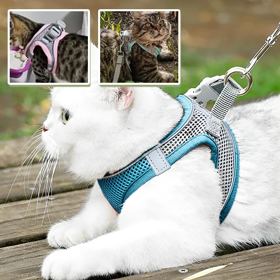 harnais chat anti-fugue| EXPLORER HARNESS