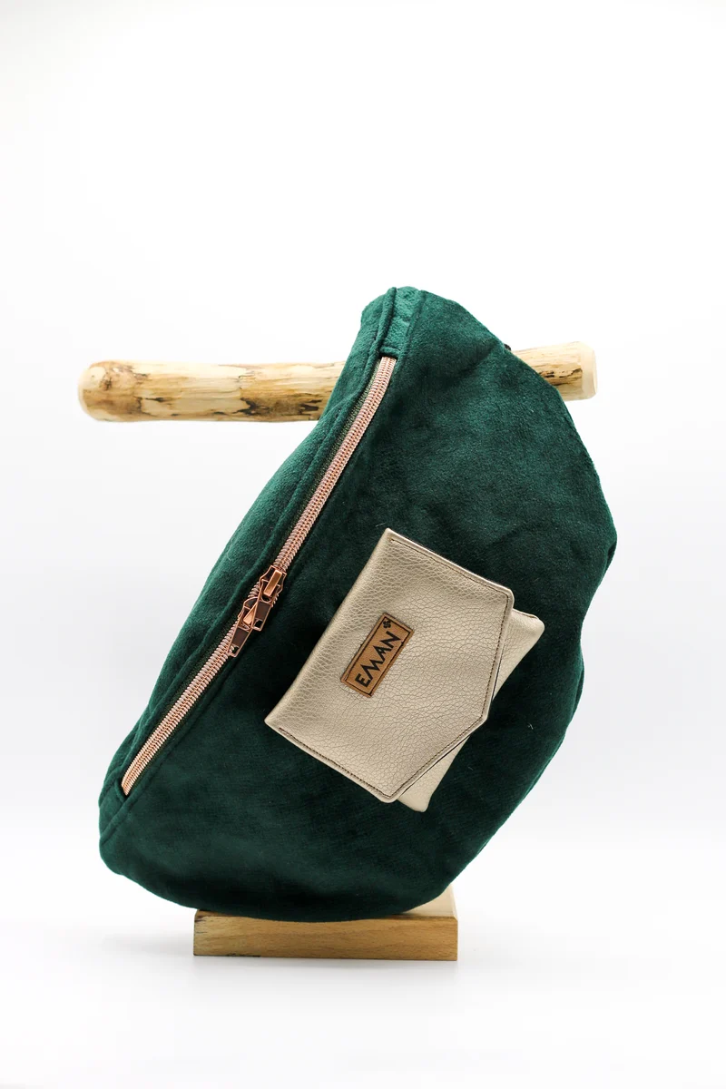 Ensemble Banane velours vert - pochette friandise chien Sable d'or