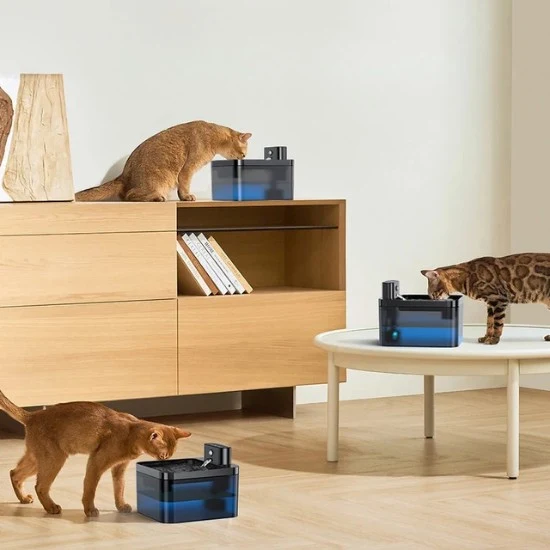 Fontaine à eau chat sans fil – Ochat™