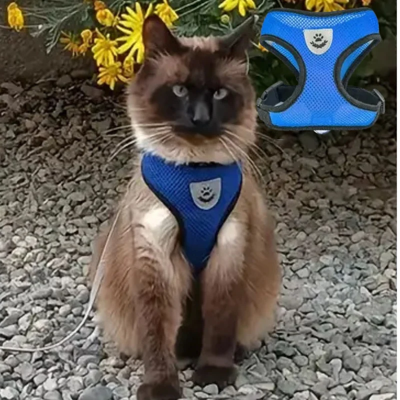 harnais chat| ELASTIC HARNESS