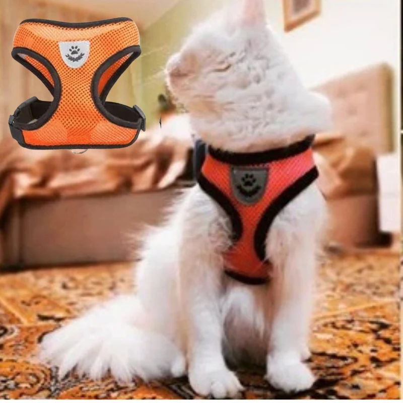 harnais chat| ELASTIC HARNESS