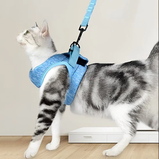 harnais pour chat confortable