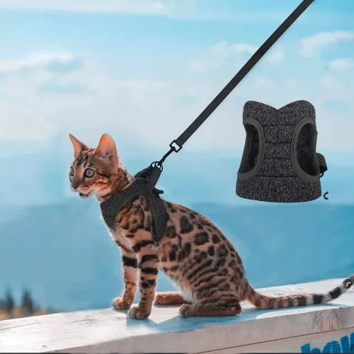 harnais pour chat confortable