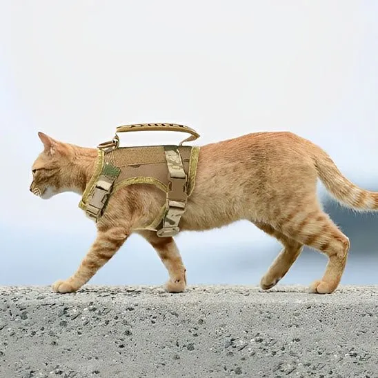 harnais chat anti fugue | CHAVENTURE