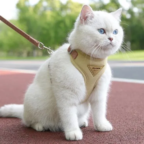 harnais pour chat | LIBERTÉ SÉCURISÉE
