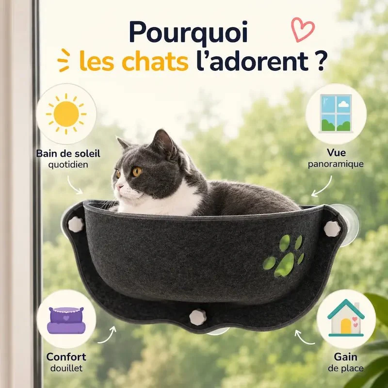 Lit chat fenêtre ventouse - Vue panoramique & confort assuré | WindowBed