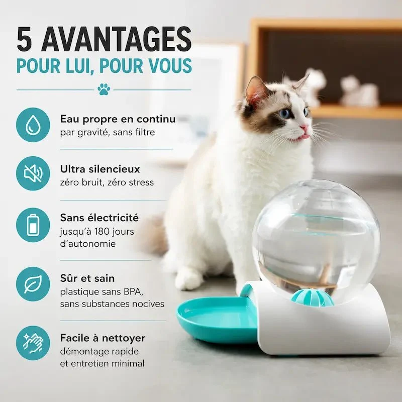Distributeur eau chat 2,8L - Zéro filtre, zéro contrainte | PureMiaou