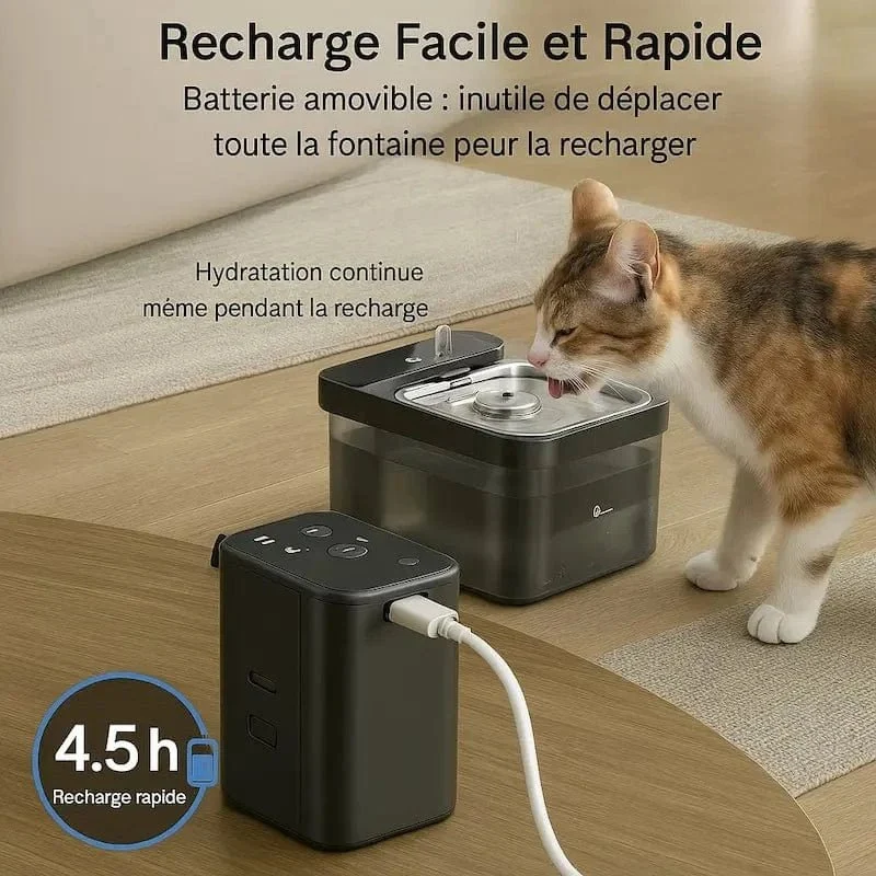 Fontaine chat anti-bactérienne - Barrière anti-germes | DownyPaws