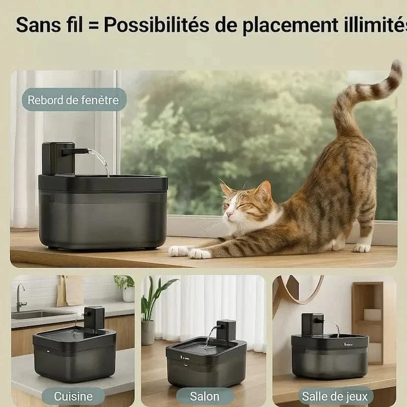 Fontaine chat anti-bactérienne - Barrière anti-germes | DownyPaws
