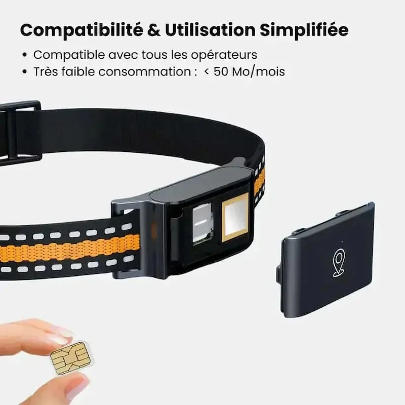 Collier GPS chat sans abonnement - Zéro frais | Trakino