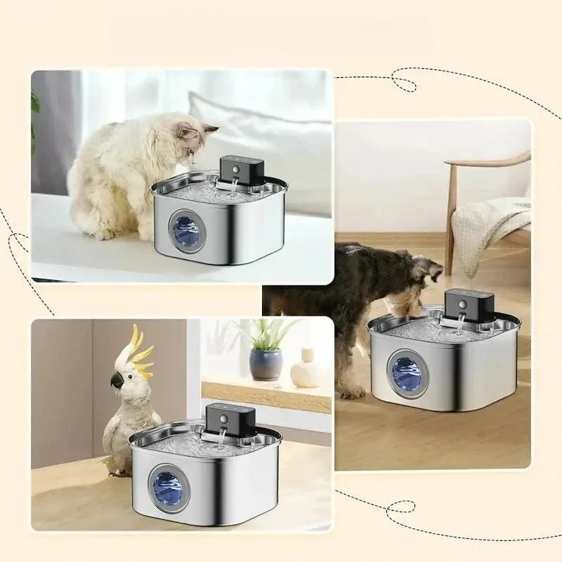 Fontaine à eau chat inox sans fil - Zéro câble, zéro risque | FreeSteel