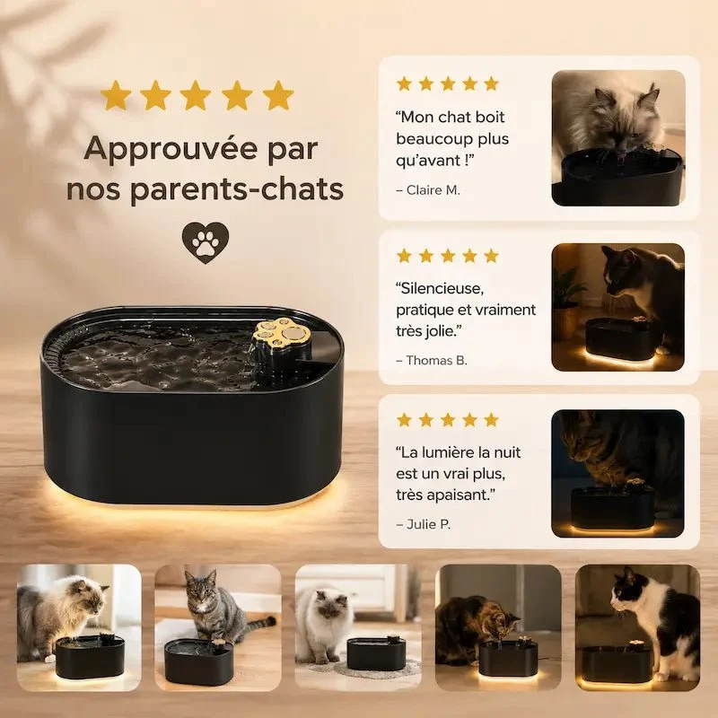 Fontaine à eau chat lumineuse - LED douce | GlowPaws