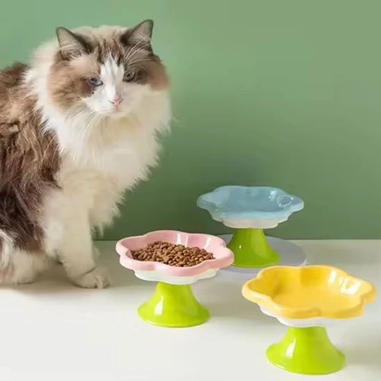 Gamelle chat - Céramique Fleur - Flower