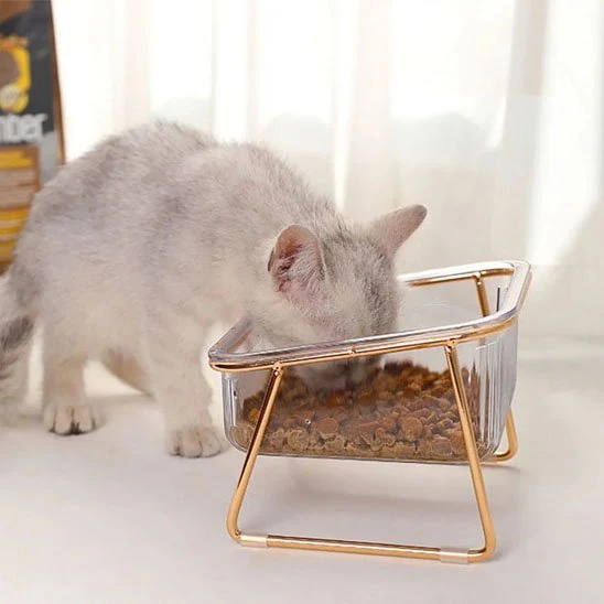 Gamelle chat - Désign Premium Surélevée - Lux