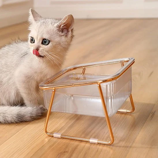 Gamelle chat - Désign Premium Surélevée - Lux