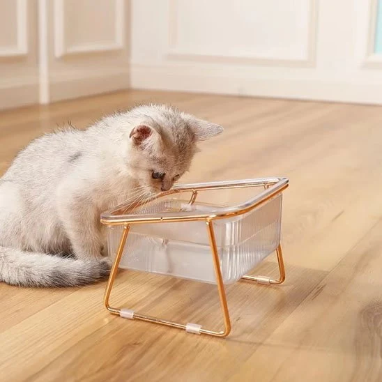 Gamelle chat - Désign Premium Surélevée - Lux