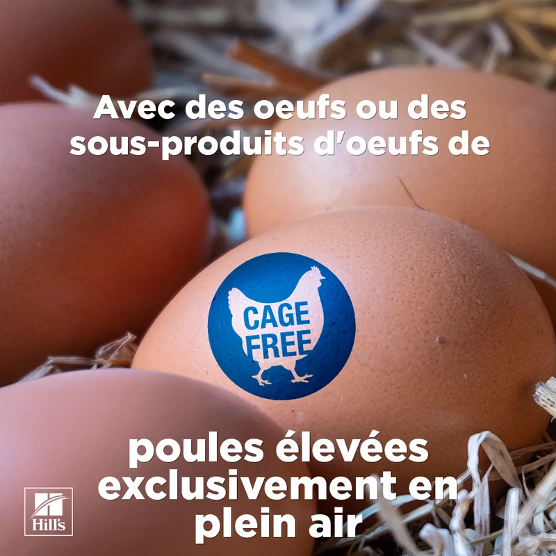 Hill's Science Plan Adult Sterilised Mousse Poulet - chat
