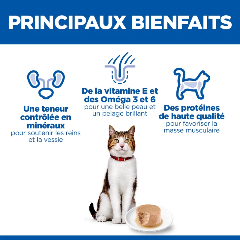 Hill's Science Plan chat Mature Adult 7+ Mousse Poulet