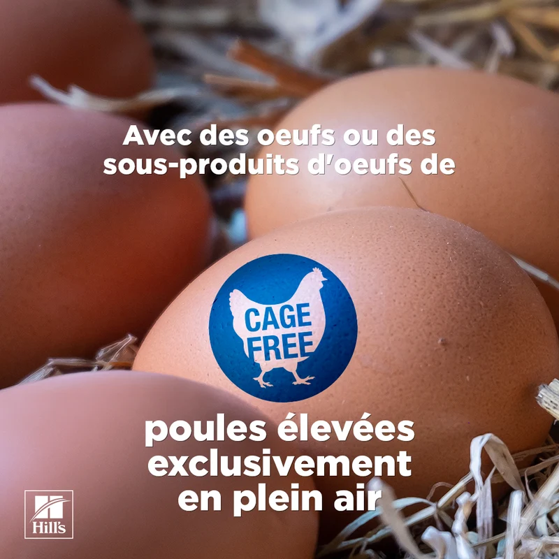 Hill's Science Plan chat Mature Adult 7+ Mousse Poulet
