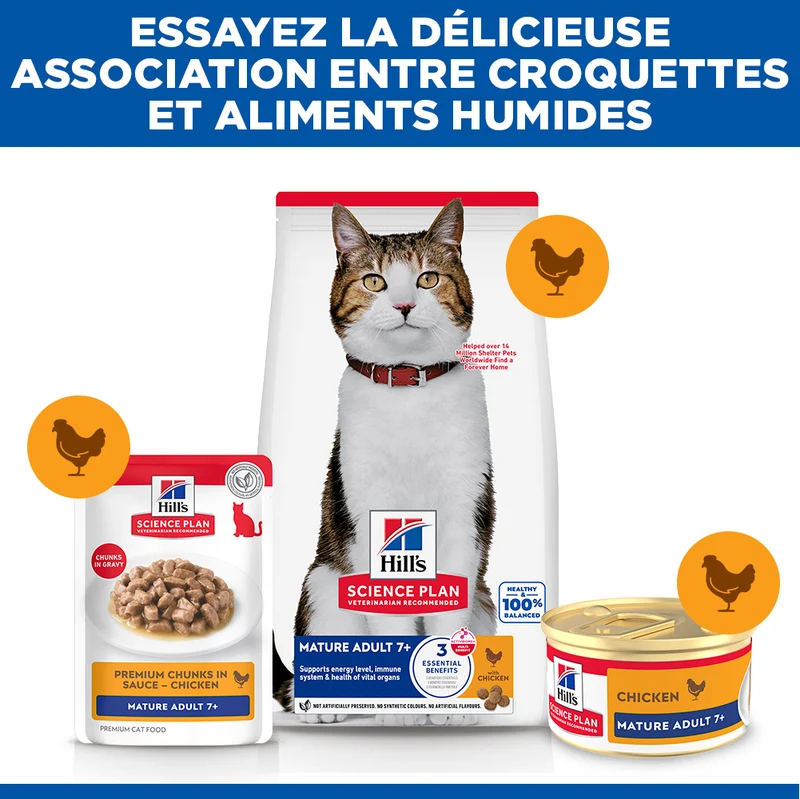 Hill's Science Plan chat Mature Adult 7+ Mousse Poulet