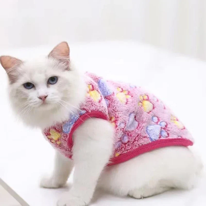 Pull pour chat - Douillet
