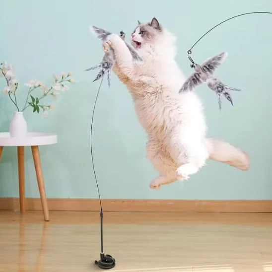 Jouet oiseau pour chat | Oiseau Farceur