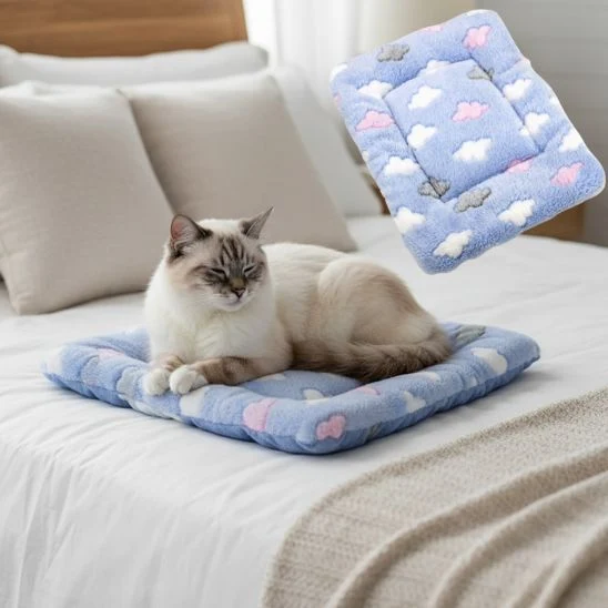 Tapis chat | Multi-Confort Félin