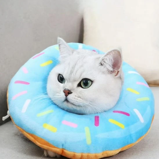 Collerette chat - Donut