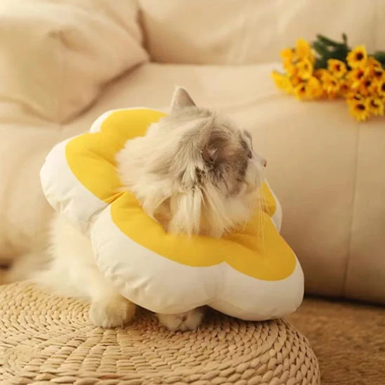 Collerette chat - Design Fleur