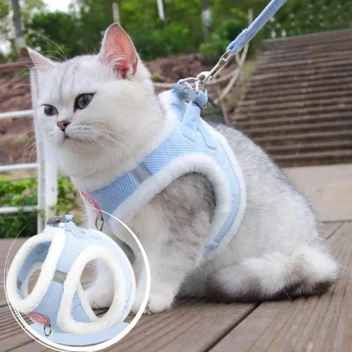 harnais chat chaud