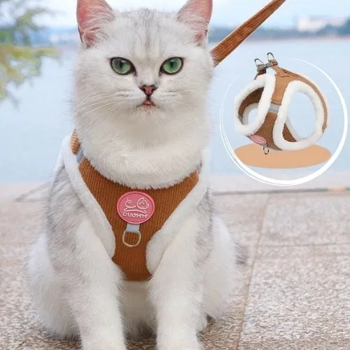 harnais chat chaud