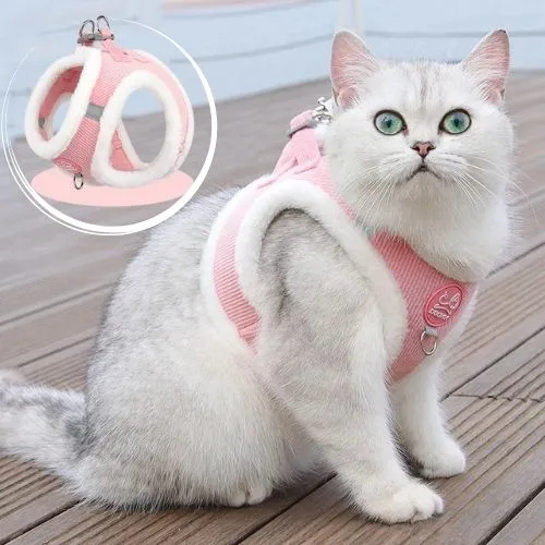 harnais chat chaud