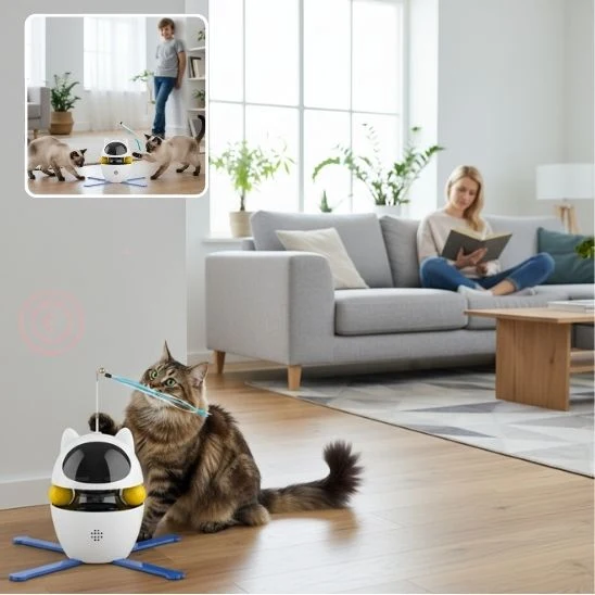 Laser pour chat 3 en 1