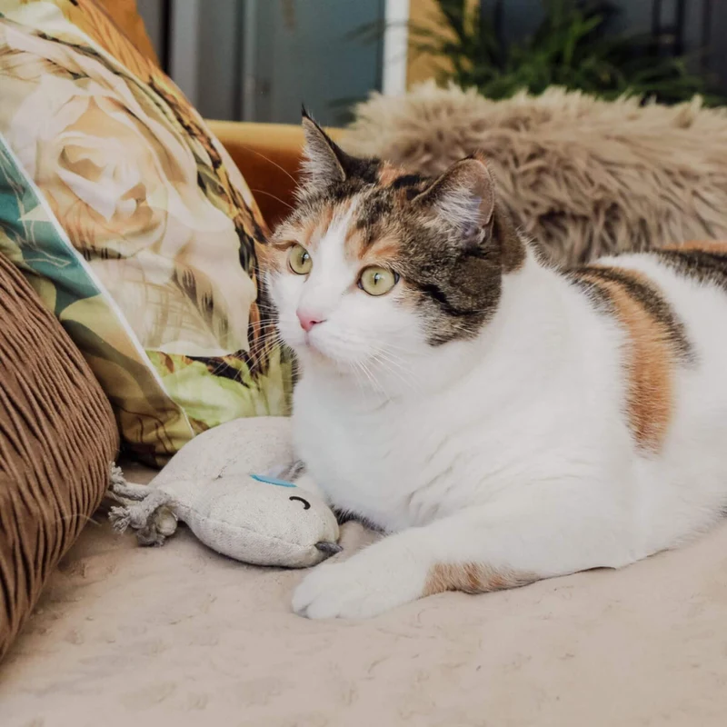 Doudou pour chat Trio Design