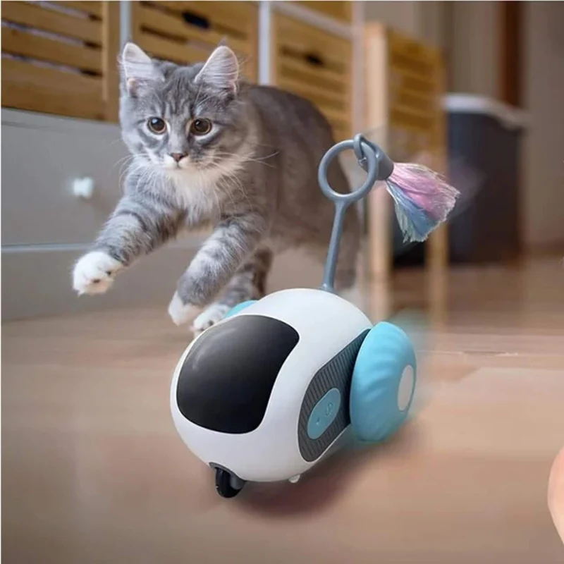 jouet chat interactif | Voiture Curieuse