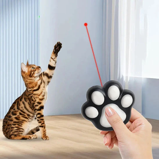 laser chat | Laser de Pattes
