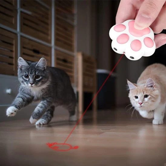 laser chat | Laser de Pattes
